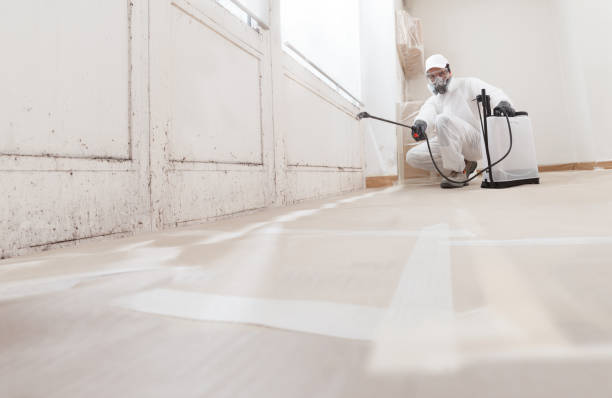24/7 Emergency Black Mold Remediation experts in White Plains, NY